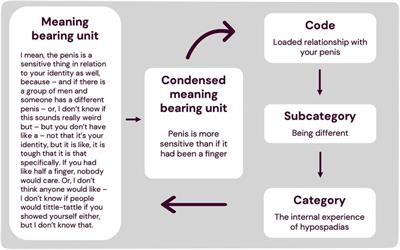 A qualitative content analysis of the experience of living with hypospadias: varying impact on identity and interpersonal relationships